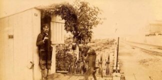 Jack, el babuino asistente del señalero ferroviario en sudáfrica