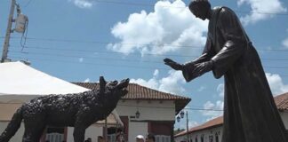Los motivos del Lobo