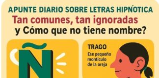 Tan comunes, tan ignoradas y ¿Cómo que no tiene nombre?