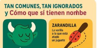 El secreto lenguaje de las pequeñas cosas