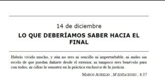 Reflexión sobre el ser y el todo