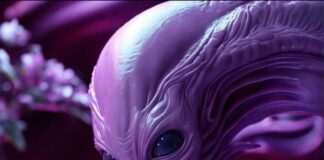 Investigador en narrativas de lo insólito Centro de Estudios sobre el Imaginario Contemporáneo.