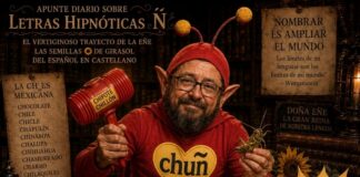 El vertiginoso trayecto de la eñe