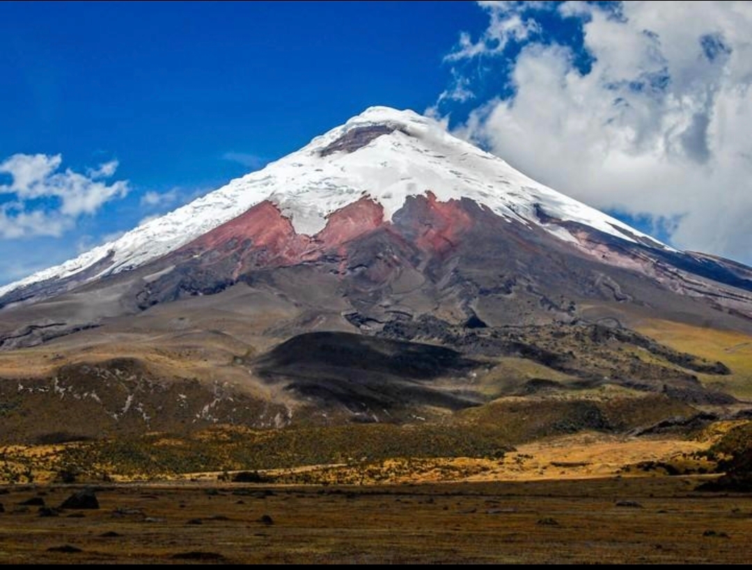 Cotopaxi.